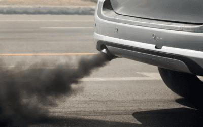 The Environmental Impact of Vehicle Emissions